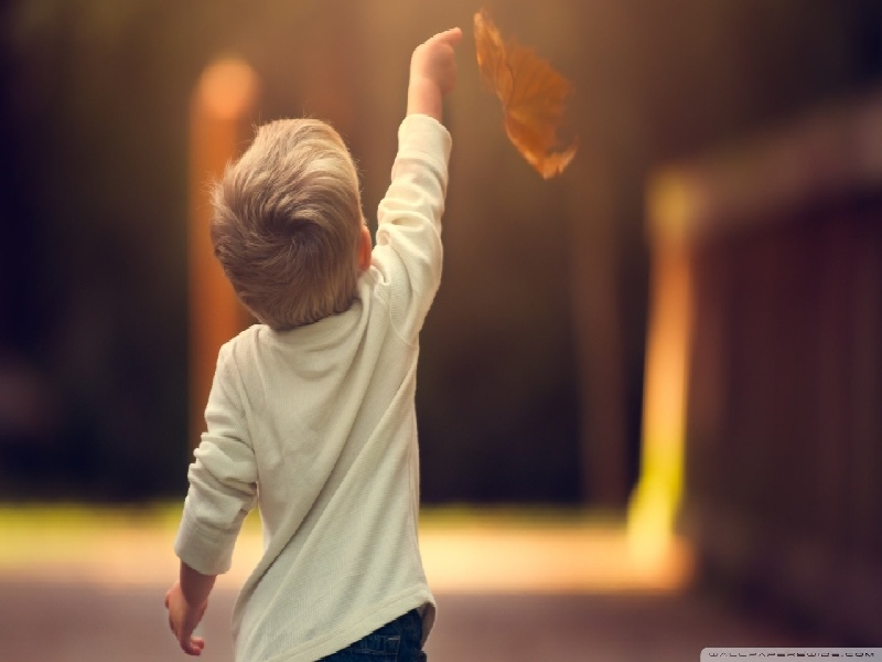 邵逸夫试管进入周期(试管婴儿费用查询)